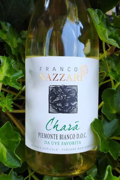 106389094_727019791199117_5092656034360525503_n