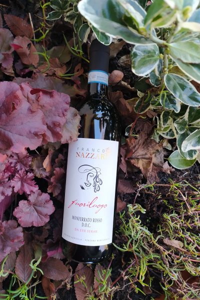 300594188_497576715705732_5711546590935794501_n