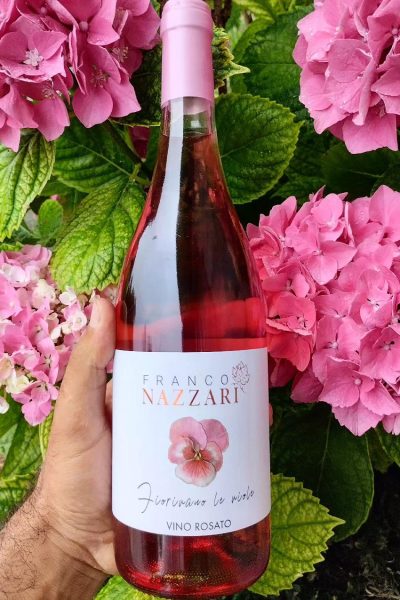 356813178_749867143810020_703519562771612768_n